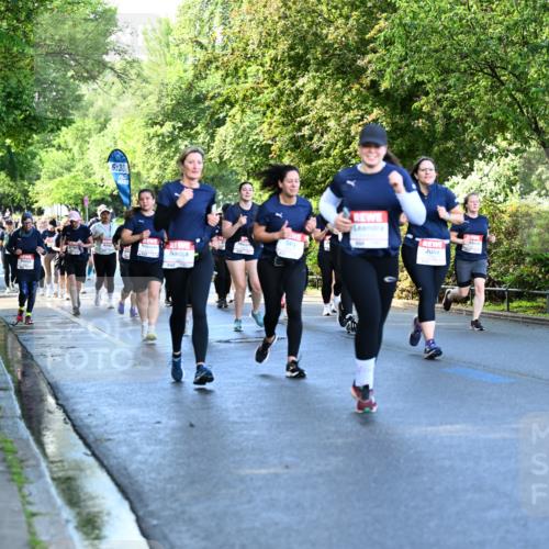 14.06.2026 - REWE Women's Run Dr. Thomas Lammeyer http://msf.ph/oto/9757060 14.06.2026 09:20:55 Laufen 6, 30 meine-sportfotos.de