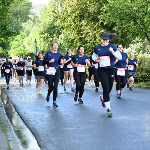 14.06.2026 - REWE Women's Run Dr. Thomas Lammeyer http://msf.ph/oto/9757061 14.06.2026 09:20:55 Laufen  meine-sportfotos.de