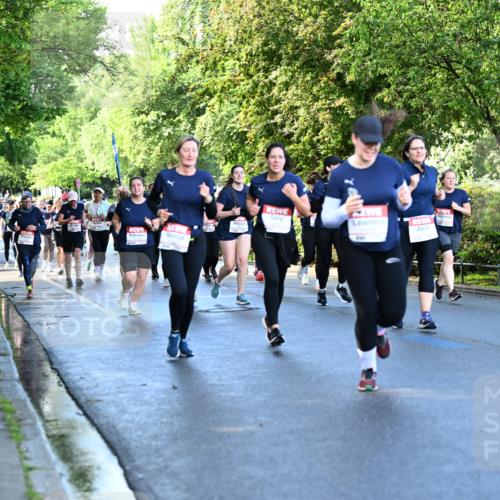 14.06.2026 - REWE Women's Run Dr. Thomas Lammeyer http://msf.ph/oto/9757064 14.06.2026 09:20:55 Laufen  meine-sportfotos.de