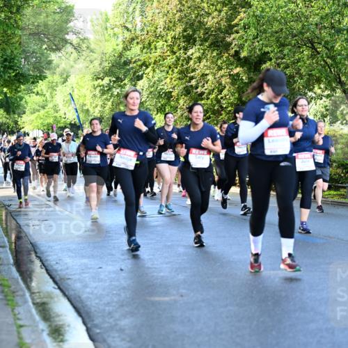 14.06.2026 - REWE Women's Run Dr. Thomas Lammeyer http://msf.ph/oto/9757066 14.06.2026 09:20:55 Laufen  meine-sportfotos.de
