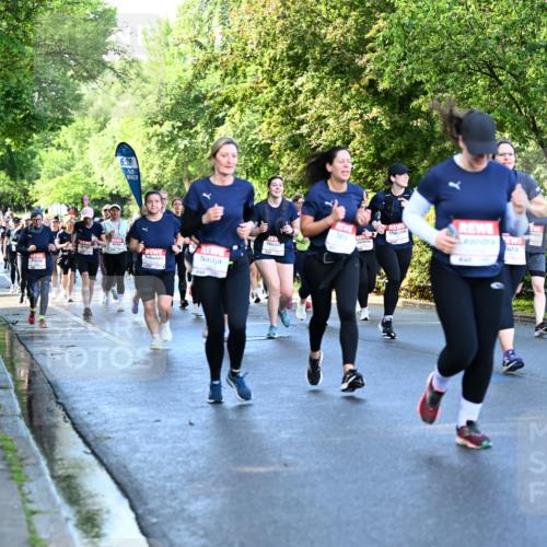 14.06.2026 - REWE Women's Run Dr. Thomas Lammeyer http://msf.ph/oto/9757071 14.06.2026 09:20:56 Laufen 6, 30 meine-sportfotos.de