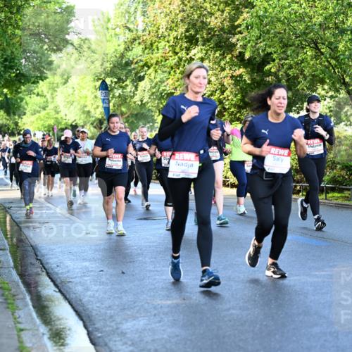 14.06.2026 - REWE Women's Run Dr. Thomas Lammeyer http://msf.ph/oto/9757083 14.06.2026 09:20:57 Laufen 6, 30, 23 meine-sportfotos.de