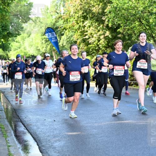 14.06.2026 - REWE Women's Run Dr. Thomas Lammeyer http://msf.ph/oto/9757112 14.06.2026 09:20:58 Laufen 388, 6, 30, 11169, 10674, 10675, 7 meine-sportfotos.de