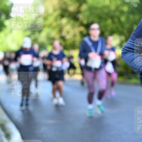 14.06.2026 - REWE Women's Run Dr. Thomas Lammeyer http://msf.ph/oto/9757193 14.06.2026 09:21:04 Laufen  meine-sportfotos.de