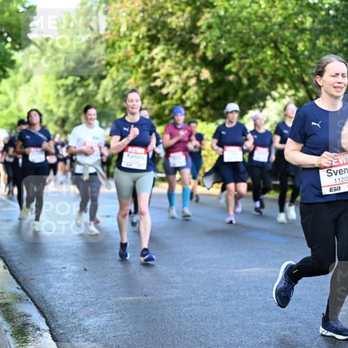 14.06.2026 - REWE Women's Run Dr. Thomas Lammeyer http://msf.ph/oto/9757251 14.06.2026 09:21:08 Laufen 11205, 1011 meine-sportfotos.de