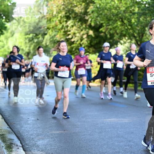 14.06.2026 - REWE Women's Run Dr. Thomas Lammeyer http://msf.ph/oto/9757253 14.06.2026 09:21:08 Laufen 11205, 577 meine-sportfotos.de