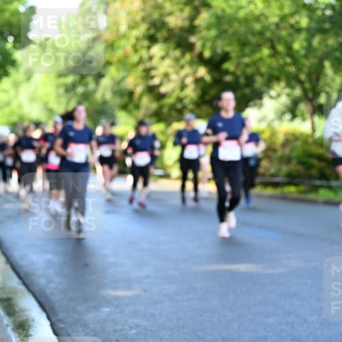 14.06.2026 - REWE Women's Run Dr. Thomas Lammeyer http://msf.ph/oto/9757334 14.06.2026 09:21:14 Laufen 11 meine-sportfotos.de
