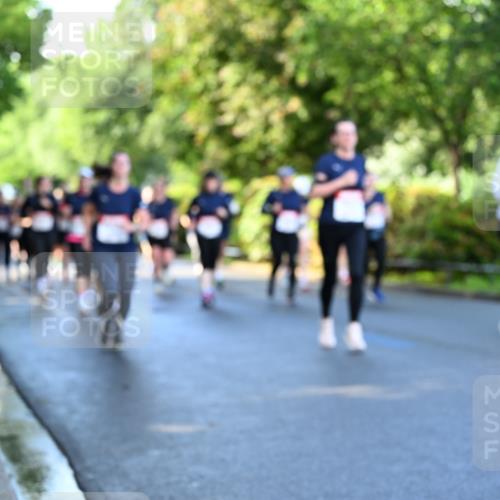 14.06.2026 - REWE Women's Run Dr. Thomas Lammeyer http://msf.ph/oto/9757337 14.06.2026 09:21:14 Laufen  meine-sportfotos.de