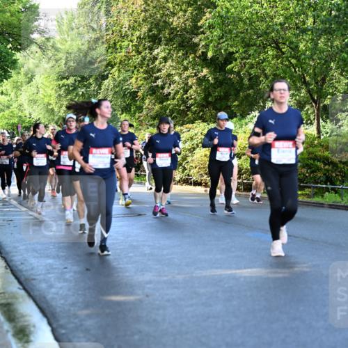 14.06.2026 - REWE Women's Run Dr. Thomas Lammeyer http://msf.ph/oto/9757341 14.06.2026 09:21:15 Laufen  meine-sportfotos.de