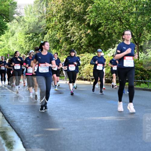 14.06.2026 - REWE Women's Run Dr. Thomas Lammeyer http://msf.ph/oto/9757344 14.06.2026 09:21:15 Laufen  meine-sportfotos.de