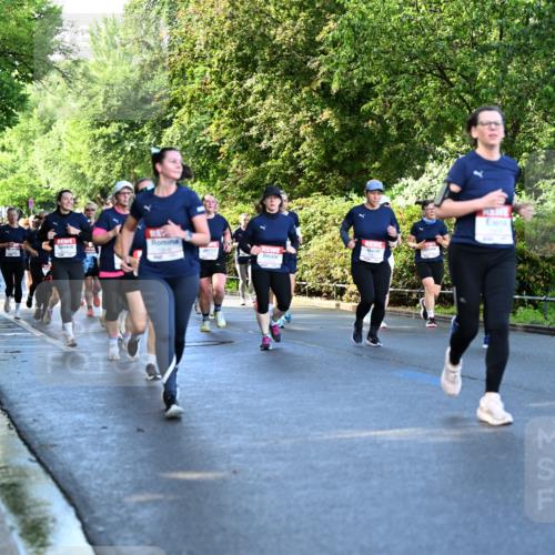 14.06.2026 - REWE Women's Run Dr. Thomas Lammeyer http://msf.ph/oto/9757346 14.06.2026 09:21:15 Laufen  meine-sportfotos.de