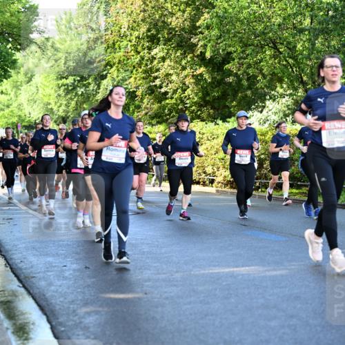 14.06.2026 - REWE Women's Run Dr. Thomas Lammeyer http://msf.ph/oto/9757350 14.06.2026 09:21:15 Laufen  meine-sportfotos.de