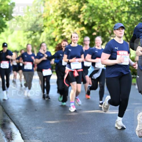 14.06.2026 - REWE Women's Run Dr. Thomas Lammeyer http://msf.ph/oto/9757423 14.06.2026 09:21:21 Laufen 10061, [, 107 meine-sportfotos.de