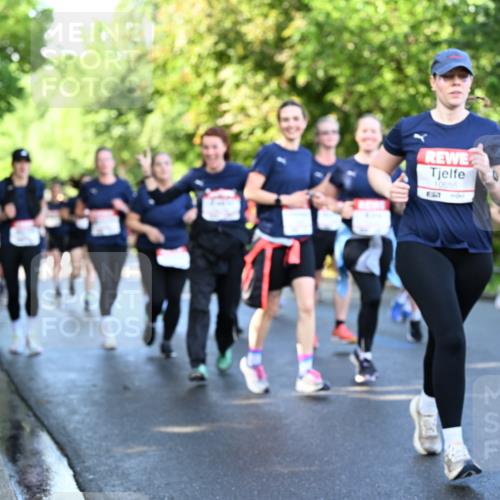 14.06.2026 - REWE Women's Run Dr. Thomas Lammeyer http://msf.ph/oto/9757425 14.06.2026 09:21:21 Laufen 10655 meine-sportfotos.de