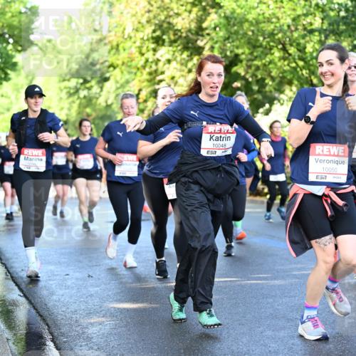 14.06.2026 - REWE Women's Run Dr. Thomas Lammeyer http://msf.ph/oto/9757438 14.06.2026 09:21:22 Laufen 10048, 7, 10050 meine-sportfotos.de