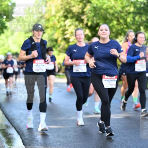 14.06.2026 - REWE Women's Run Dr. Thomas Lammeyer http://msf.ph/oto/9757456 14.06.2026 09:21:23 Laufen  meine-sportfotos.de