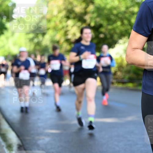 14.06.2026 - REWE Women's Run Dr. Thomas Lammeyer http://msf.ph/oto/9757487 14.06.2026 09:21:25 Laufen 1038, 7 meine-sportfotos.de