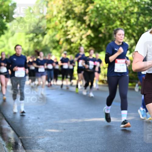 14.06.2026 - REWE Women's Run Dr. Thomas Lammeyer http://msf.ph/oto/9757547 14.06.2026 09:21:30 Laufen 362 meine-sportfotos.de