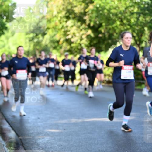 14.06.2026 - REWE Women's Run Dr. Thomas Lammeyer http://msf.ph/oto/9757550 14.06.2026 09:21:30 Laufen  meine-sportfotos.de