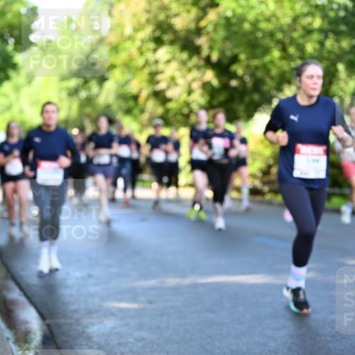14.06.2026 - REWE Women's Run Dr. Thomas Lammeyer http://msf.ph/oto/9757552 14.06.2026 09:21:30 Laufen  meine-sportfotos.de
