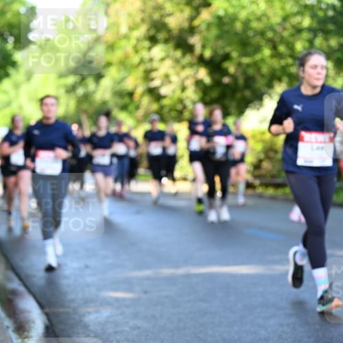 14.06.2026 - REWE Women's Run Dr. Thomas Lammeyer http://msf.ph/oto/9757553 14.06.2026 09:21:30 Laufen  meine-sportfotos.de