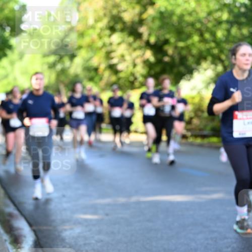 14.06.2026 - REWE Women's Run Dr. Thomas Lammeyer http://msf.ph/oto/9757555 14.06.2026 09:21:30 Laufen  meine-sportfotos.de