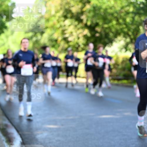 14.06.2026 - REWE Women's Run Dr. Thomas Lammeyer http://msf.ph/oto/9757558 14.06.2026 09:21:30 Laufen  meine-sportfotos.de
