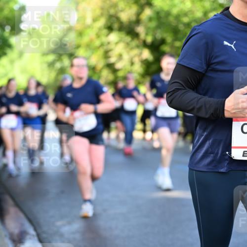 14.06.2026 - REWE Women's Run Dr. Thomas Lammeyer http://msf.ph/oto/9757599 14.06.2026 09:21:33 Laufen 10348 meine-sportfotos.de
