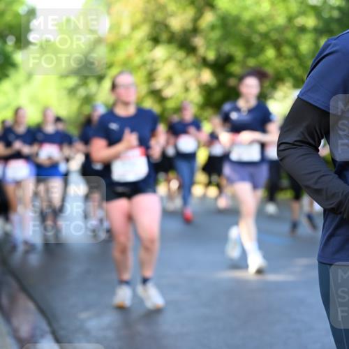 14.06.2026 - REWE Women's Run Dr. Thomas Lammeyer http://msf.ph/oto/9757601 14.06.2026 09:21:33 Laufen 10 meine-sportfotos.de