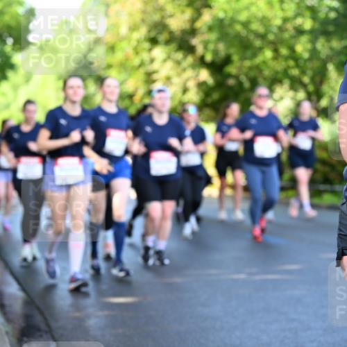 14.06.2026 - REWE Women's Run Dr. Thomas Lammeyer http://msf.ph/oto/9757620 14.06.2026 09:21:35 Laufen 1091 meine-sportfotos.de