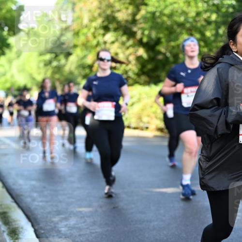 14.06.2026 - REWE Women's Run Dr. Thomas Lammeyer http://msf.ph/oto/9757743 14.06.2026 09:21:44 Laufen  meine-sportfotos.de