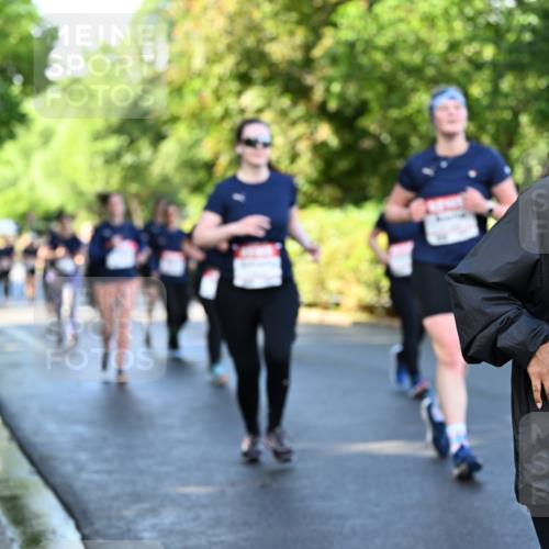 14.06.2026 - REWE Women's Run Dr. Thomas Lammeyer http://msf.ph/oto/9757746 14.06.2026 09:21:44 Laufen 11398 meine-sportfotos.de