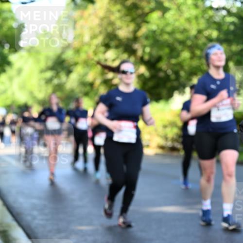 14.06.2026 - REWE Women's Run Dr. Thomas Lammeyer http://msf.ph/oto/9757749 14.06.2026 09:21:44 Laufen  meine-sportfotos.de