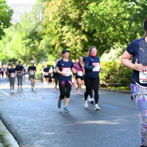 14.06.2026 - REWE Women's Run Dr. Thomas Lammeyer http://msf.ph/oto/9757811 14.06.2026 09:21:50 Laufen 11525 meine-sportfotos.de