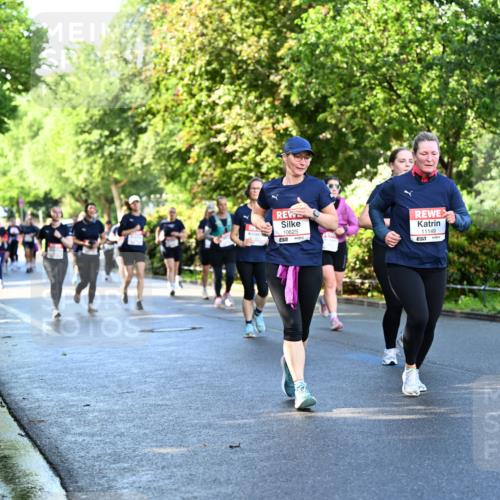 14.06.2026 - REWE Women's Run Dr. Thomas Lammeyer http://msf.ph/oto/9757820 14.06.2026 09:21:51 Laufen 10625, 11149, 57 meine-sportfotos.de