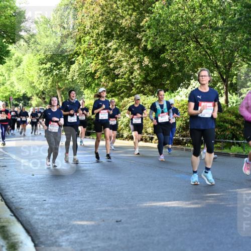 14.06.2026 - REWE Women's Run Dr. Thomas Lammeyer http://msf.ph/oto/9757855 14.06.2026 09:21:53 Laufen 12 meine-sportfotos.de