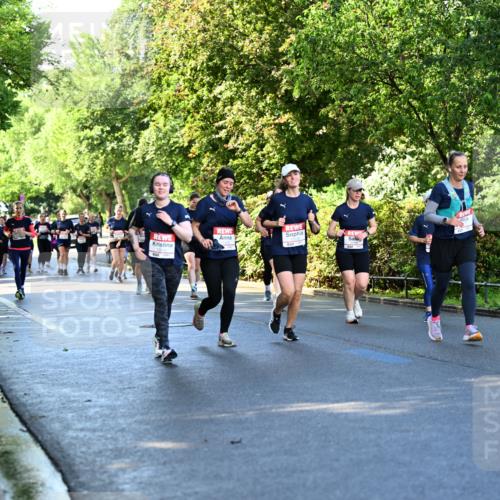 14.06.2026 - REWE Women's Run Dr. Thomas Lammeyer http://msf.ph/oto/9757883 14.06.2026 09:21:55 Laufen 11181 meine-sportfotos.de