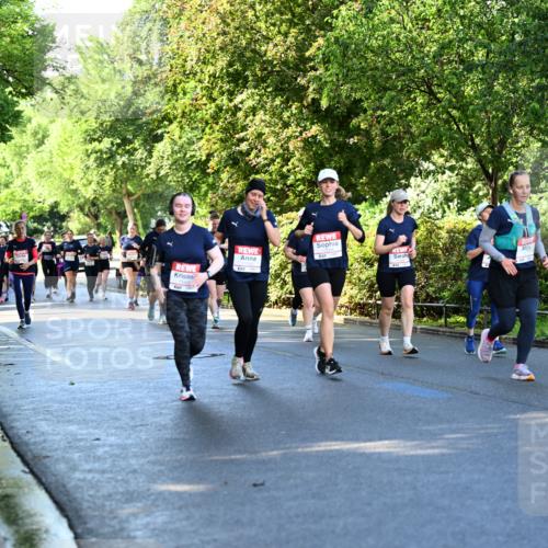 14.06.2026 - REWE Women's Run Dr. Thomas Lammeyer http://msf.ph/oto/9757885 14.06.2026 09:21:55 Laufen 837 meine-sportfotos.de