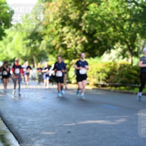14.06.2026 - REWE Women's Run Dr. Thomas Lammeyer http://msf.ph/oto/9757939 14.06.2026 09:21:59 Laufen 104 meine-sportfotos.de