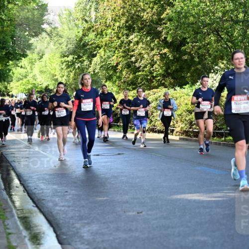 14.06.2026 - REWE Women's Run Dr. Thomas Lammeyer http://msf.ph/oto/9757953 14.06.2026 09:22:02 Laufen  meine-sportfotos.de