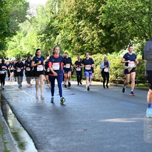 14.06.2026 - REWE Women's Run Dr. Thomas Lammeyer http://msf.ph/oto/9757957 14.06.2026 09:22:03 Laufen  meine-sportfotos.de