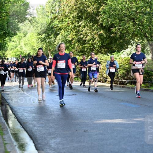 14.06.2026 - REWE Women's Run Dr. Thomas Lammeyer http://msf.ph/oto/9757964 14.06.2026 09:22:03 Laufen  meine-sportfotos.de