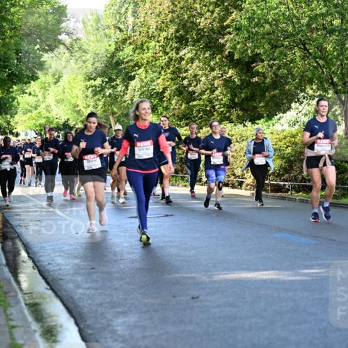 14.06.2026 - REWE Women's Run Dr. Thomas Lammeyer http://msf.ph/oto/9757967 14.06.2026 09:22:03 Laufen 8, 319 meine-sportfotos.de