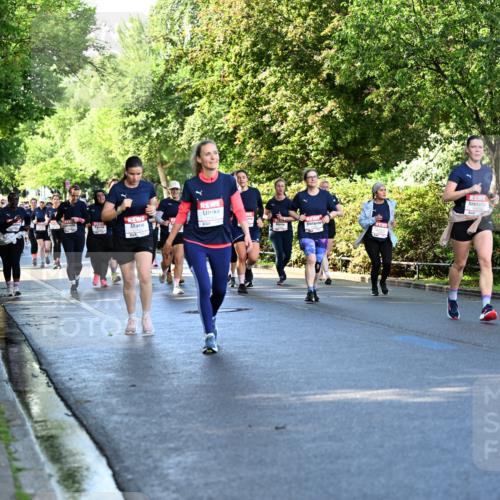 14.06.2026 - REWE Women's Run Dr. Thomas Lammeyer http://msf.ph/oto/9757969 14.06.2026 09:22:03 Laufen  meine-sportfotos.de
