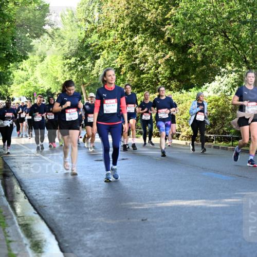 14.06.2026 - REWE Women's Run Dr. Thomas Lammeyer http://msf.ph/oto/9757971 14.06.2026 09:22:03 Laufen  meine-sportfotos.de