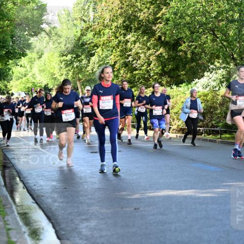 14.06.2026 - REWE Women's Run Dr. Thomas Lammeyer http://msf.ph/oto/9757976 14.06.2026 09:22:04 Laufen  meine-sportfotos.de