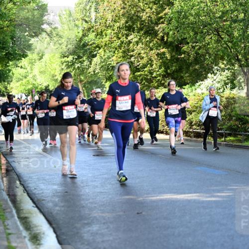 14.06.2026 - REWE Women's Run Dr. Thomas Lammeyer http://msf.ph/oto/9757985 14.06.2026 09:22:04 Laufen  meine-sportfotos.de