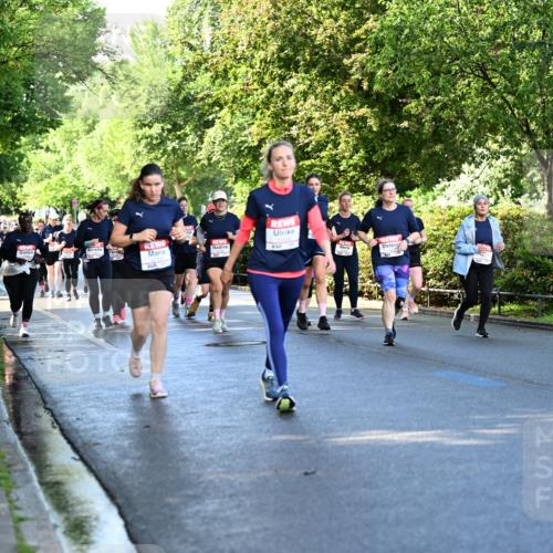 14.06.2026 - REWE Women's Run Dr. Thomas Lammeyer http://msf.ph/oto/9757988 14.06.2026 09:22:04 Laufen  meine-sportfotos.de