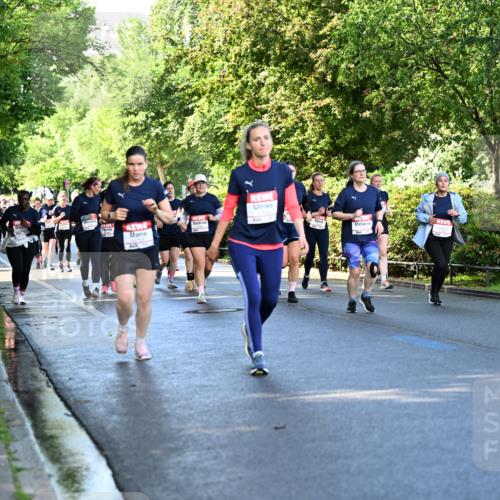 14.06.2026 - REWE Women's Run Dr. Thomas Lammeyer http://msf.ph/oto/9757990 14.06.2026 09:22:04 Laufen  meine-sportfotos.de