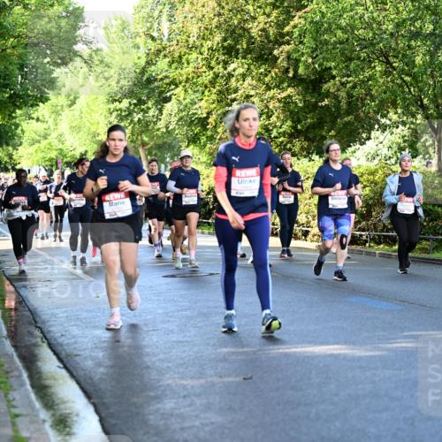 14.06.2026 - REWE Women's Run Dr. Thomas Lammeyer http://msf.ph/oto/9757995 14.06.2026 09:22:05 Laufen  meine-sportfotos.de